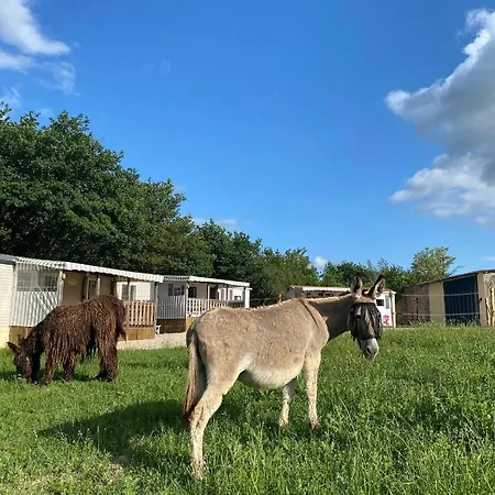 De La Ferme Aux Anesses, Mobil Caline Bressuire