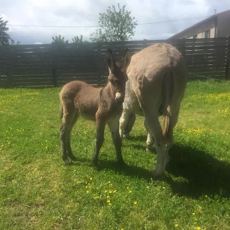 De La Ferme Aux Anesses, Mobil Caline